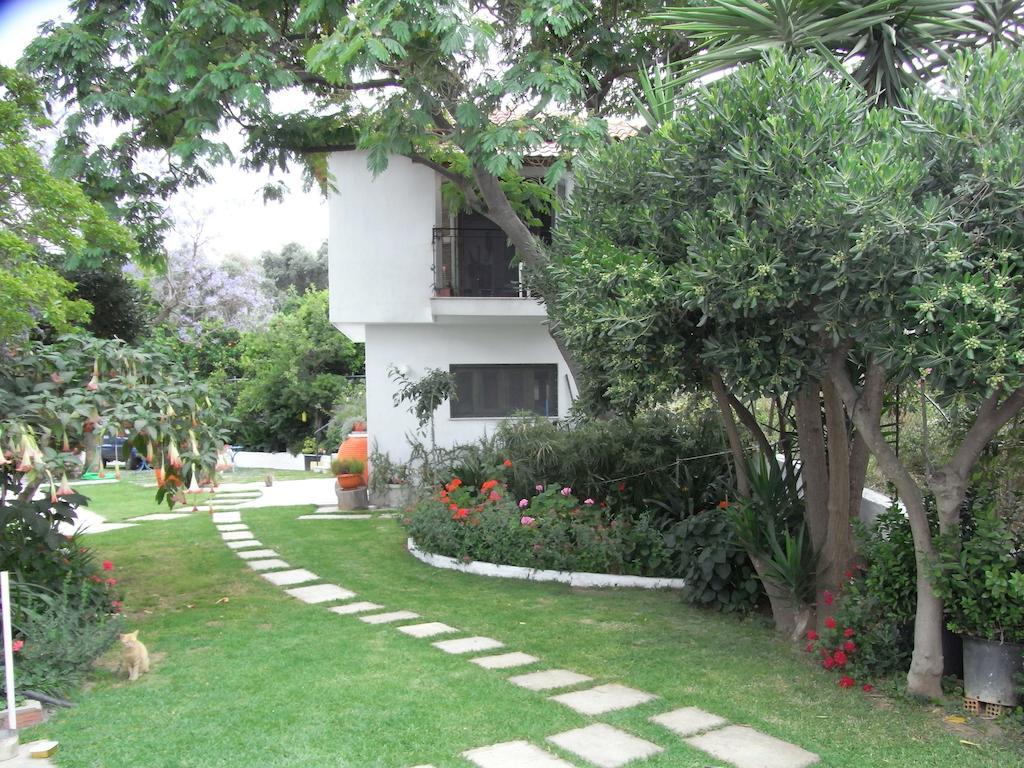 Villa Yiannis (Adults Only) Megali Ammos (Skiathos) Exterior foto