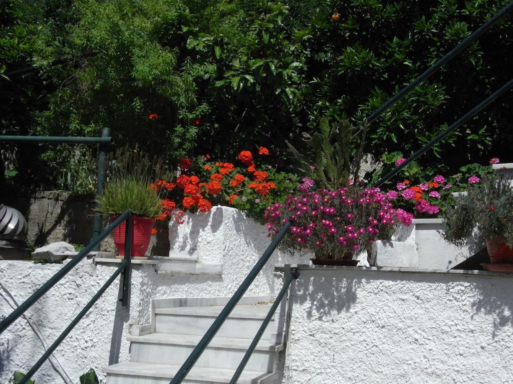 Villa Yiannis (Adults Only) Megali Ammos (Skiathos) Exterior foto