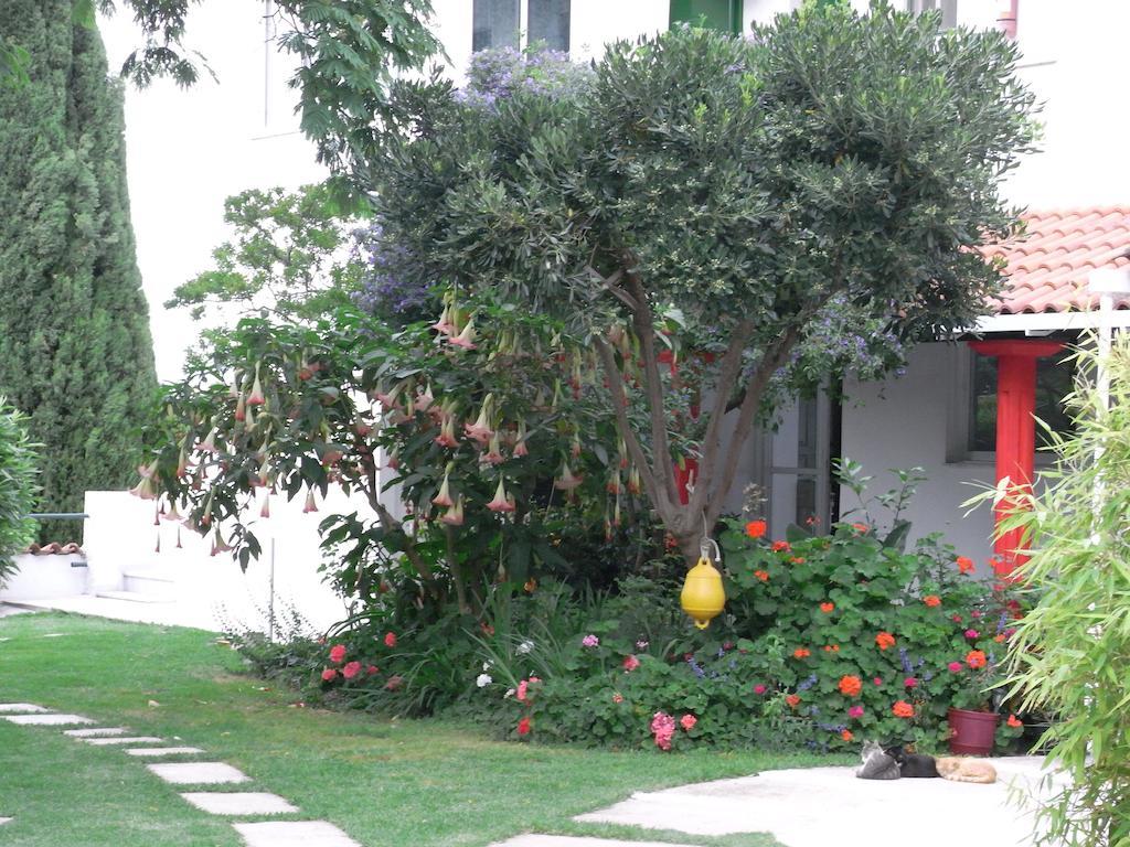 Villa Yiannis (Adults Only) Megali Ammos (Skiathos) Exterior foto