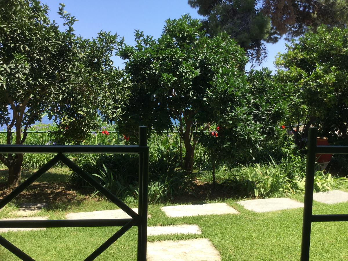 Villa Yiannis (Adults Only) Megali Ammos (Skiathos) Exterior foto
