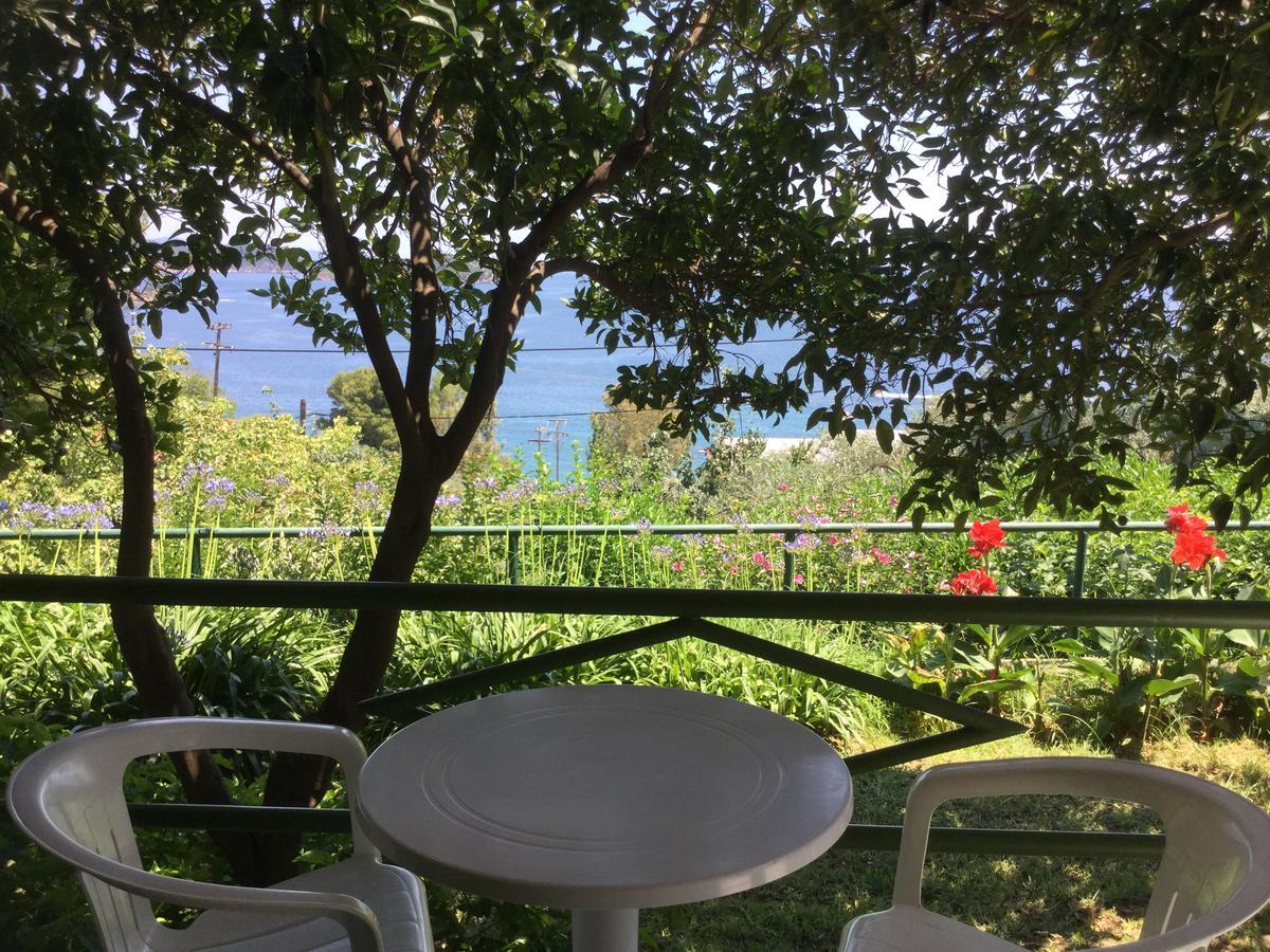 Villa Yiannis (Adults Only) Megali Ammos (Skiathos) Exterior foto
