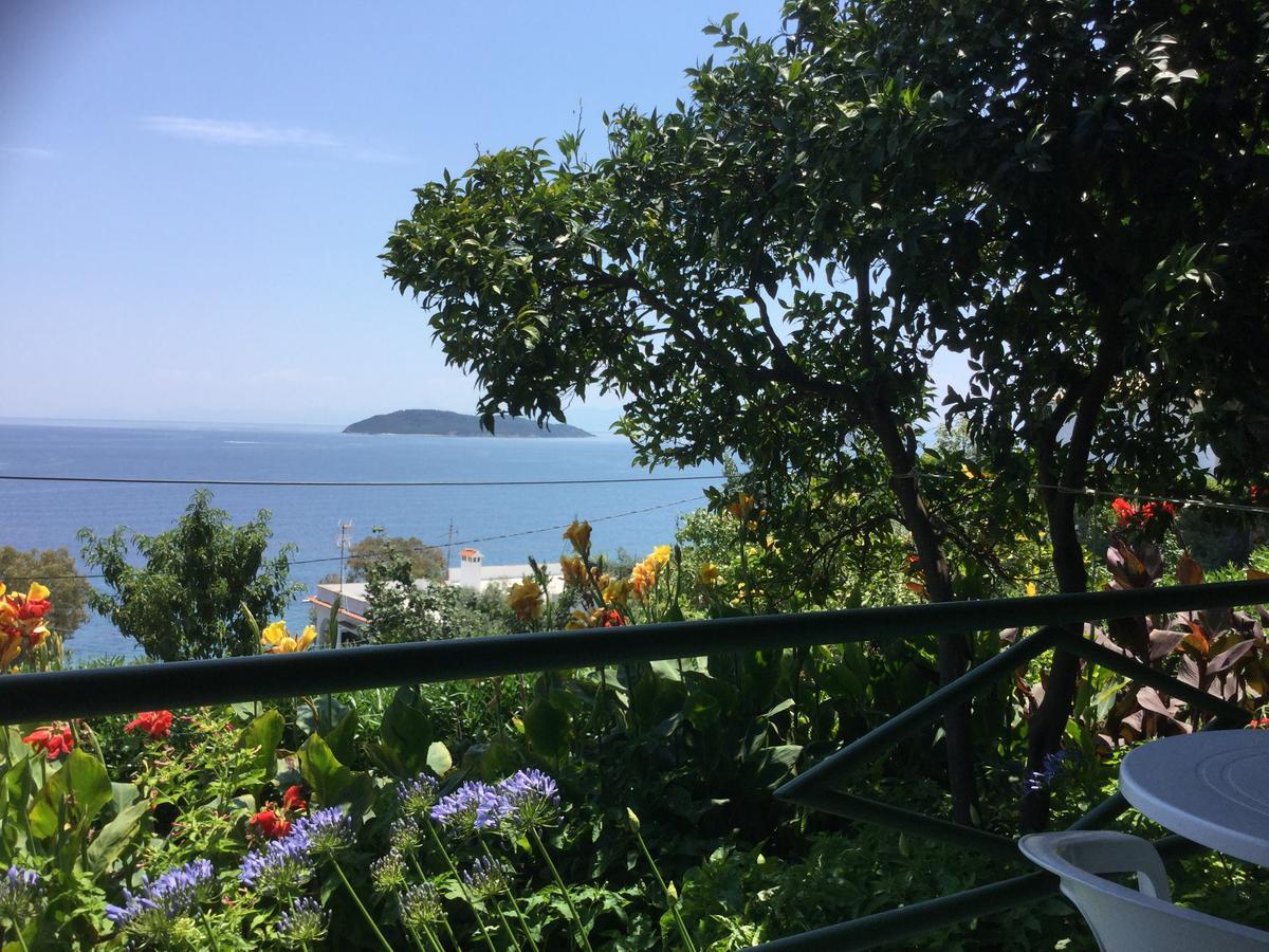 Villa Yiannis (Adults Only) Megali Ammos (Skiathos) Exterior foto