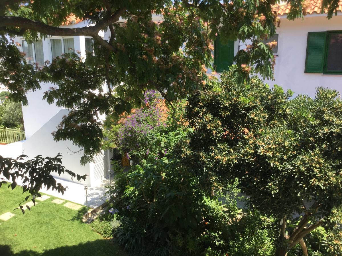 Villa Yiannis (Adults Only) Megali Ammos (Skiathos) Exterior foto